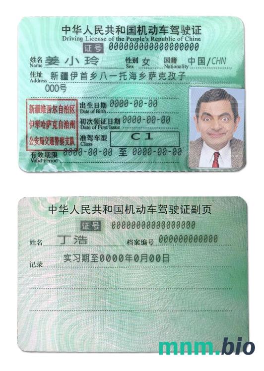 China prawa jazdy szablon ze wszystkimi czcionkami